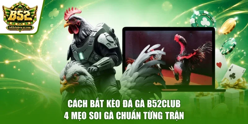 Cách Bắt Kèo Đá Gà B52club - 4 Mẹo Soi Gà Chuẩn Từng Trận