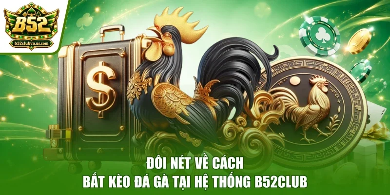 Đôi nét về cách bắt kèo đá gà tại hệ thống B52club