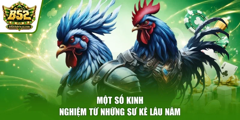 Một số kinh nghiệm từ những sư kê lâu năm