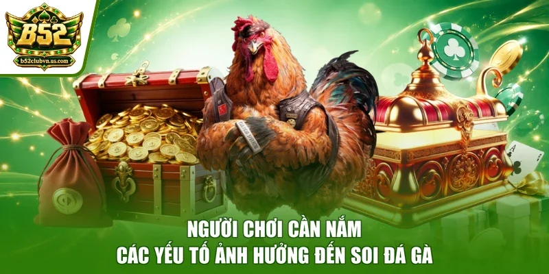 Người chơi cần nắm các yếu tố ảnh hưởng đến soi đá gà